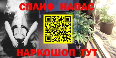 прущие грибы Моздок