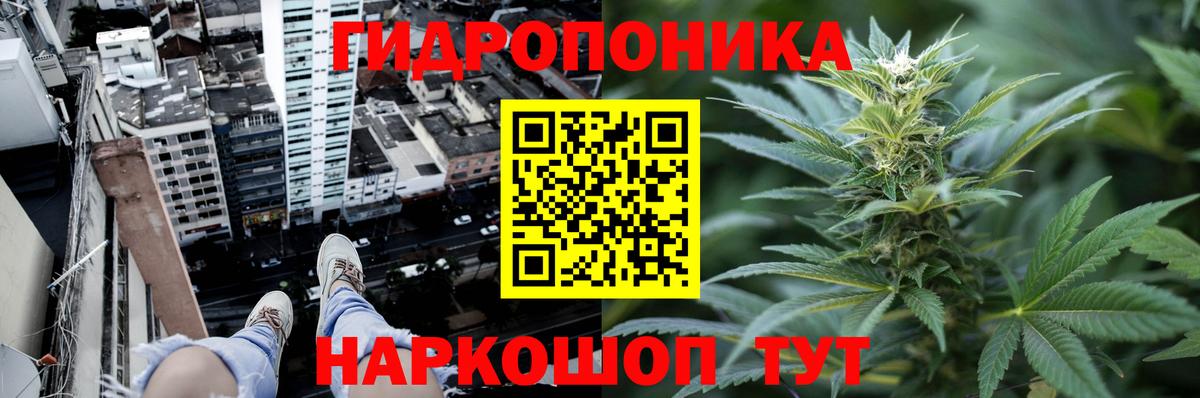 Шишки марихуана индика  Вход с VPN  Электрогорск  Бошки марихуана гибрид  МАРИХУАНА Bruce Banner 